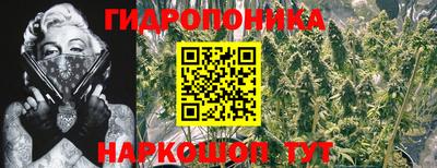 прущие грибы Жуковский