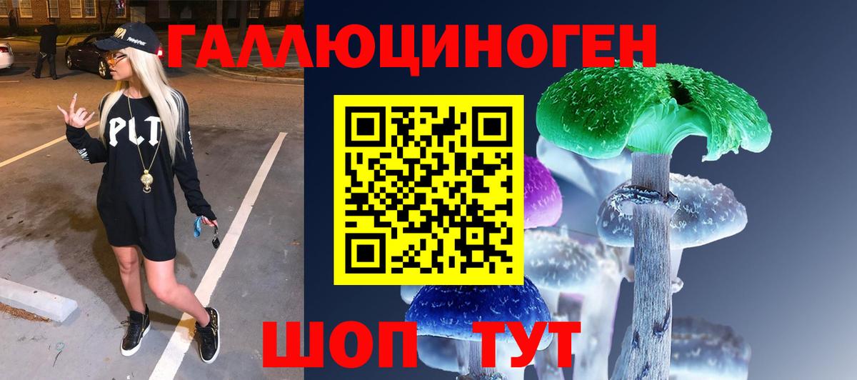 Псилоцибиновые грибы мицелий Кызыл